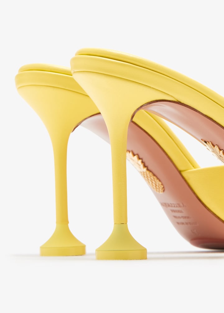 bismidm0-nap-dis_5.jpg?ts=20260228033241