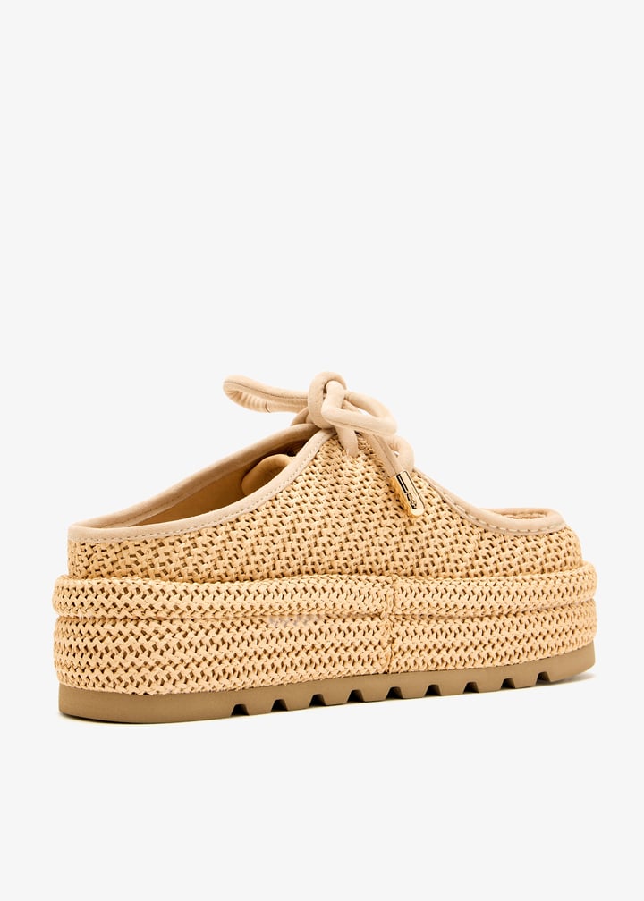 blizzard-00560_6.jpg?ts=20250506031840