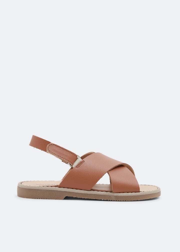 bpb0023-camel_1.jpg?ts=20220504182425