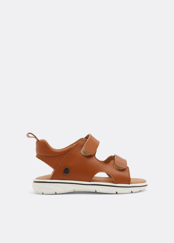 bpb4202-camel_1.jpg?ts=20220505183610