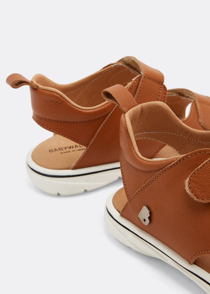 bpb4202-camel_2.jpg?ts=20220505183610