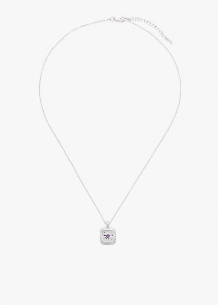 bsh-s-n1-ch2-amt-silver_1.jpg?ts=20260212020532