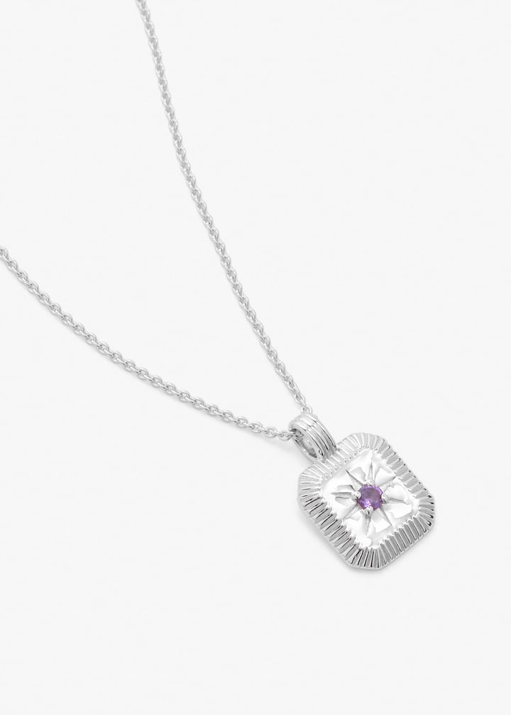 bsh-s-n1-ch2-amt-silver_5.jpg?ts=20260212020532