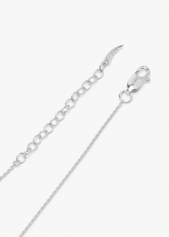 bsh-s-n1-ch2-amt-silver_6.jpg?ts=20260212020532