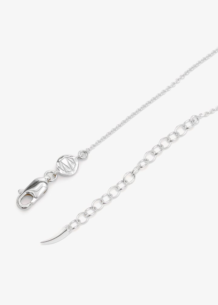 bsh-s-n1-ch2-aq-silver_6.jpg?ts=20260207021353