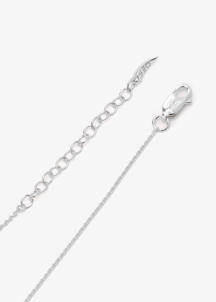 bsh-s-n1-ch2-gx-silver_6.jpg?ts=20260212020535