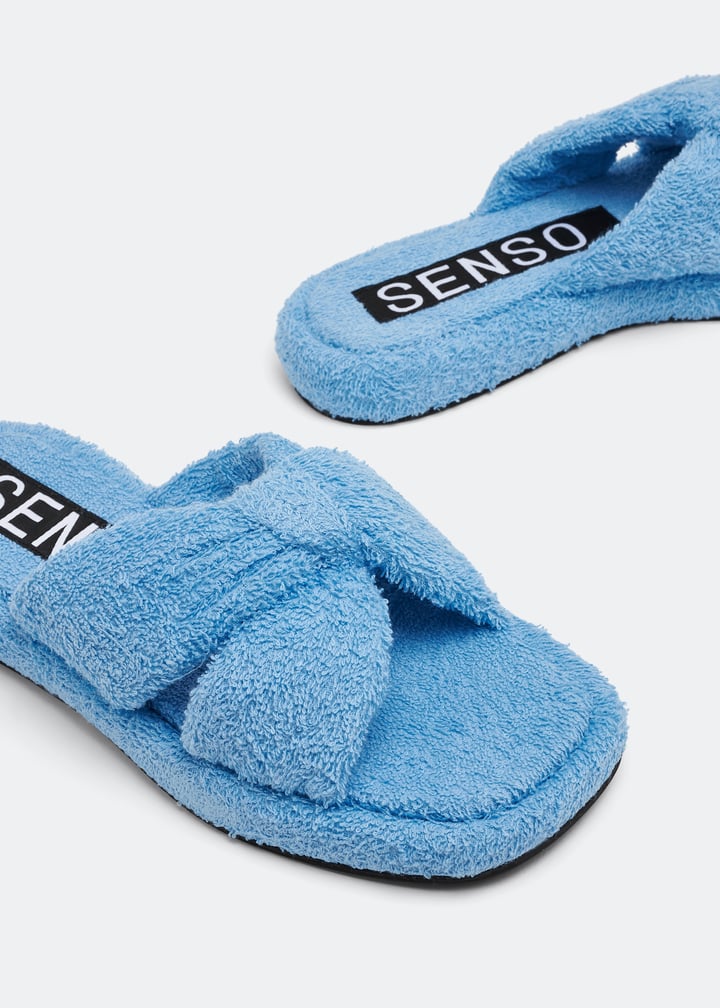 bubblesii-zr20_3.jpg?ts=20230310034534