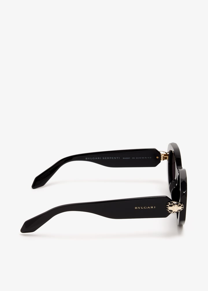 bv40007i-5201a_6.jpg?ts=20250314032514