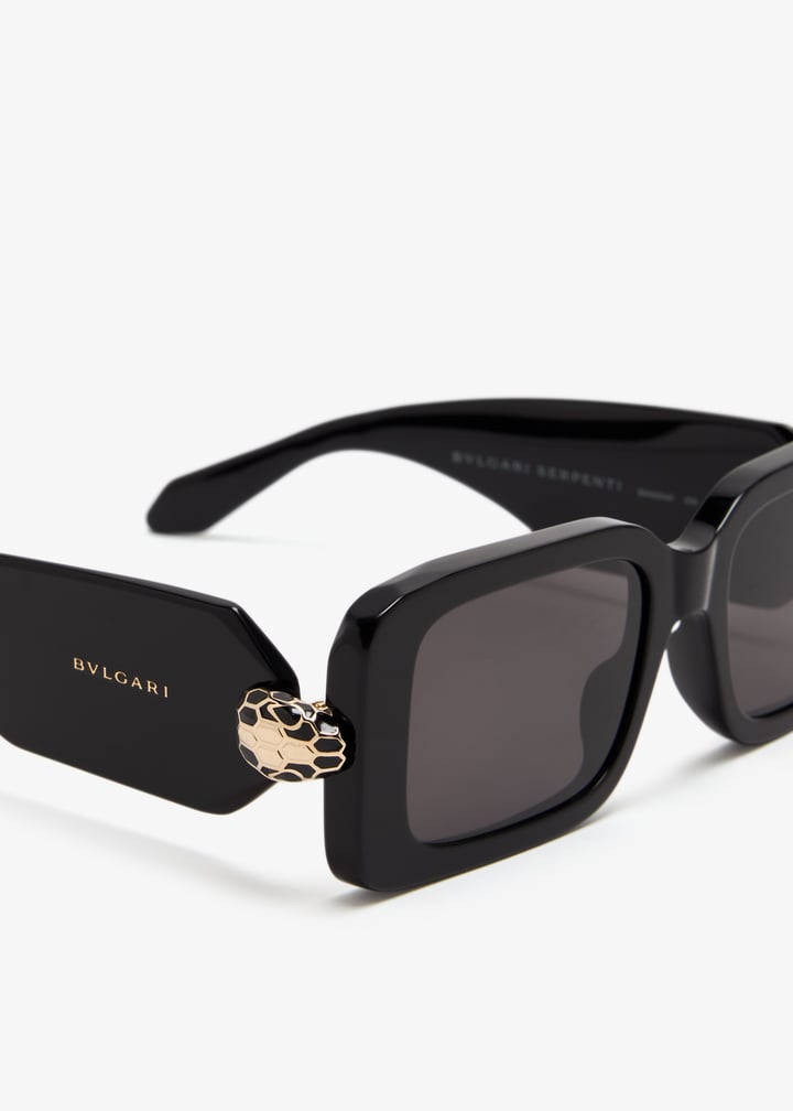 bv40044i-01a_5.jpg?ts=20250508030848