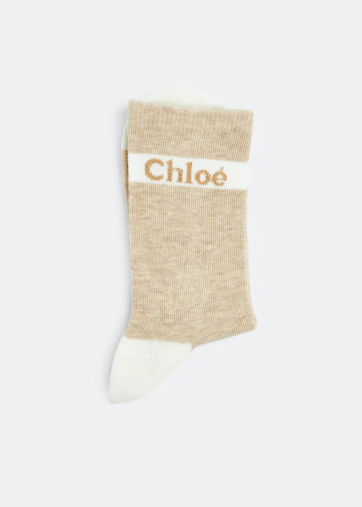 c10313-c03_3.jpg?ts=20230216030512