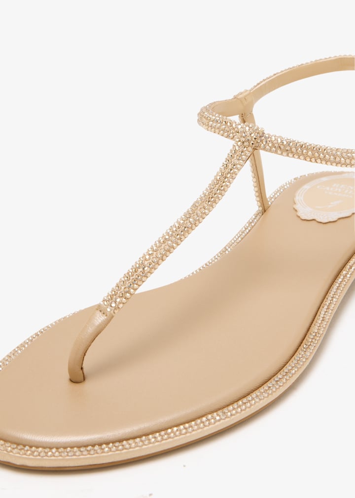 c11574-010-r001v104_5.jpg?ts=20251113130444