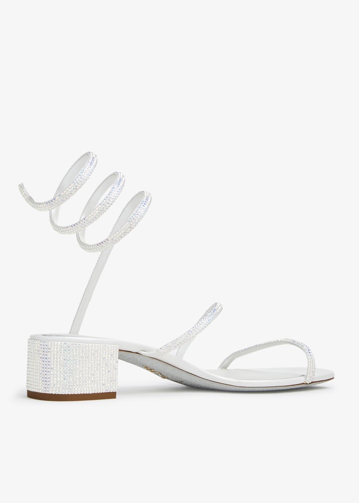 c11579-035-r001x318_4.jpg?ts=20241022030522