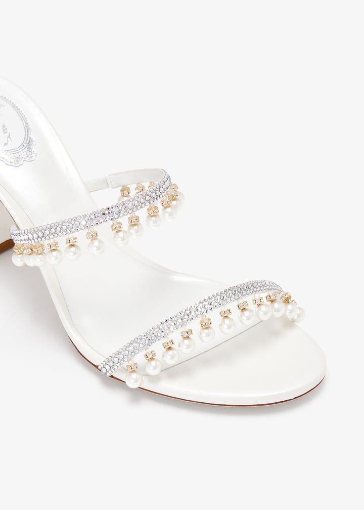 c12384-080-r001macr_5.jpg?ts=20250103030514