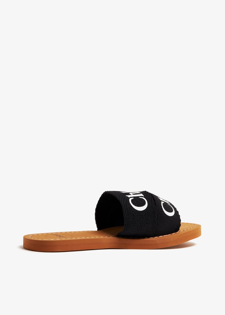 c20136-09b_6.jpg?ts=20240301060017