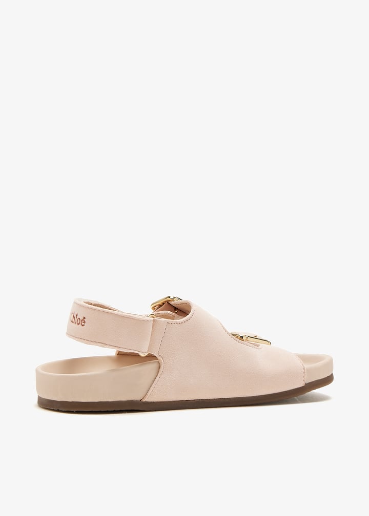 c20607-45q_6.jpg?ts=20250301035616