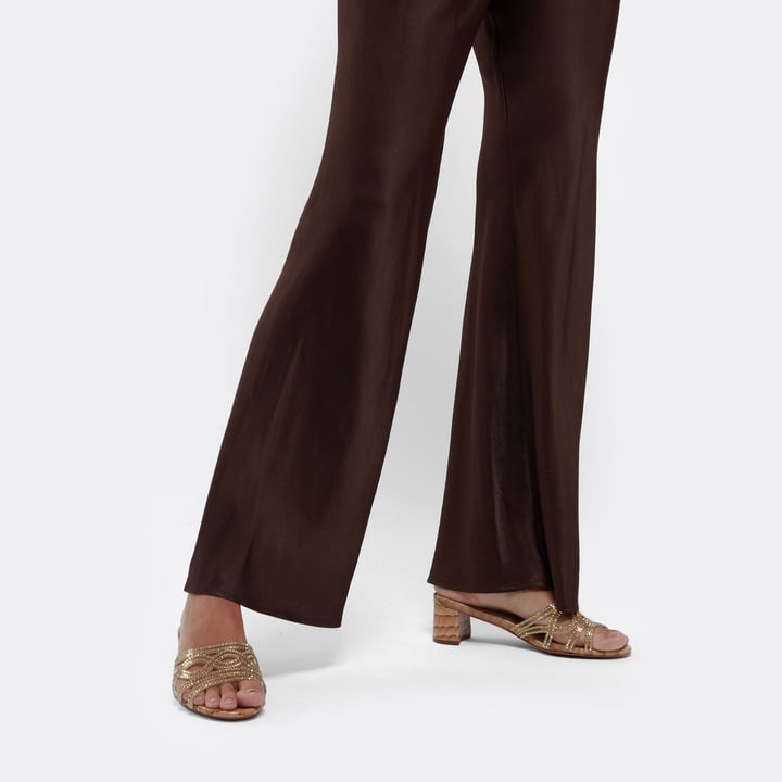 calix-bgcr10_2.jpg?ts=20220505183620