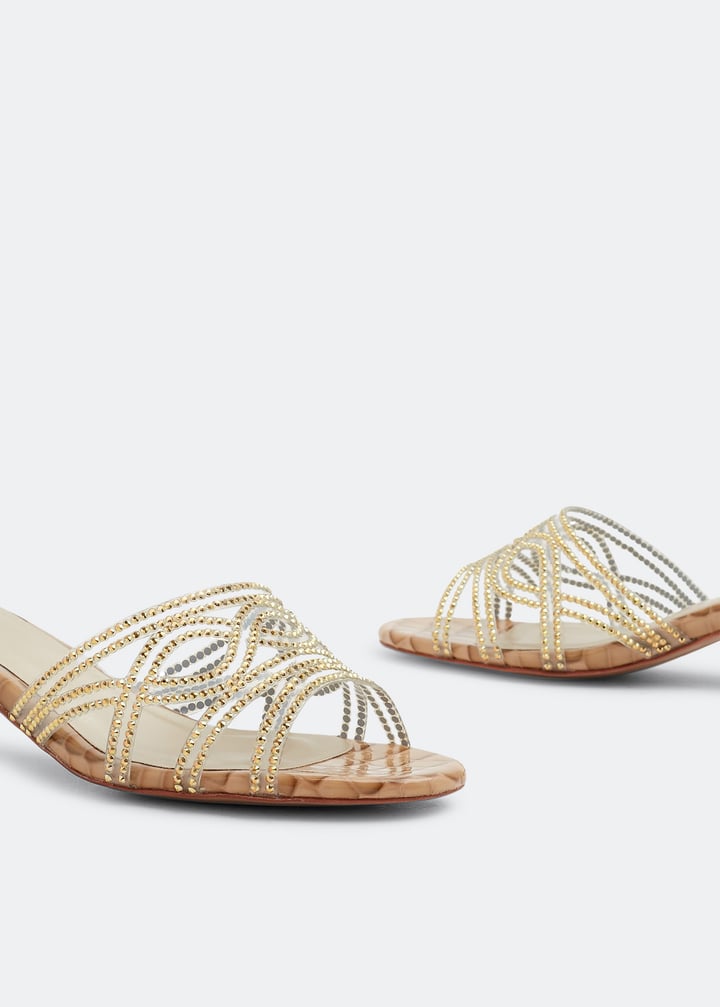 calix-bgcr10_3.jpg?ts=20220505183620