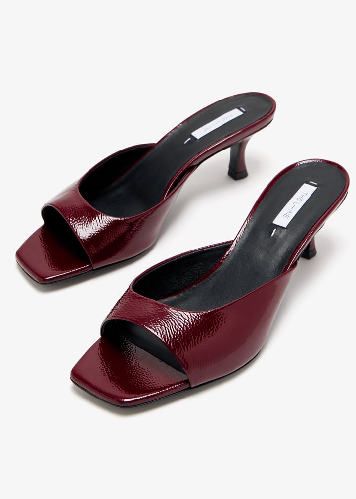 callie-6827_7.jpg?ts=20241221030521