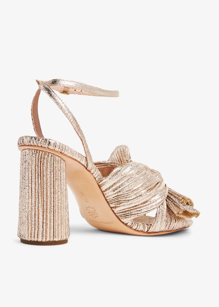 camellia-pla-champ_4.jpg?ts=20260402020540