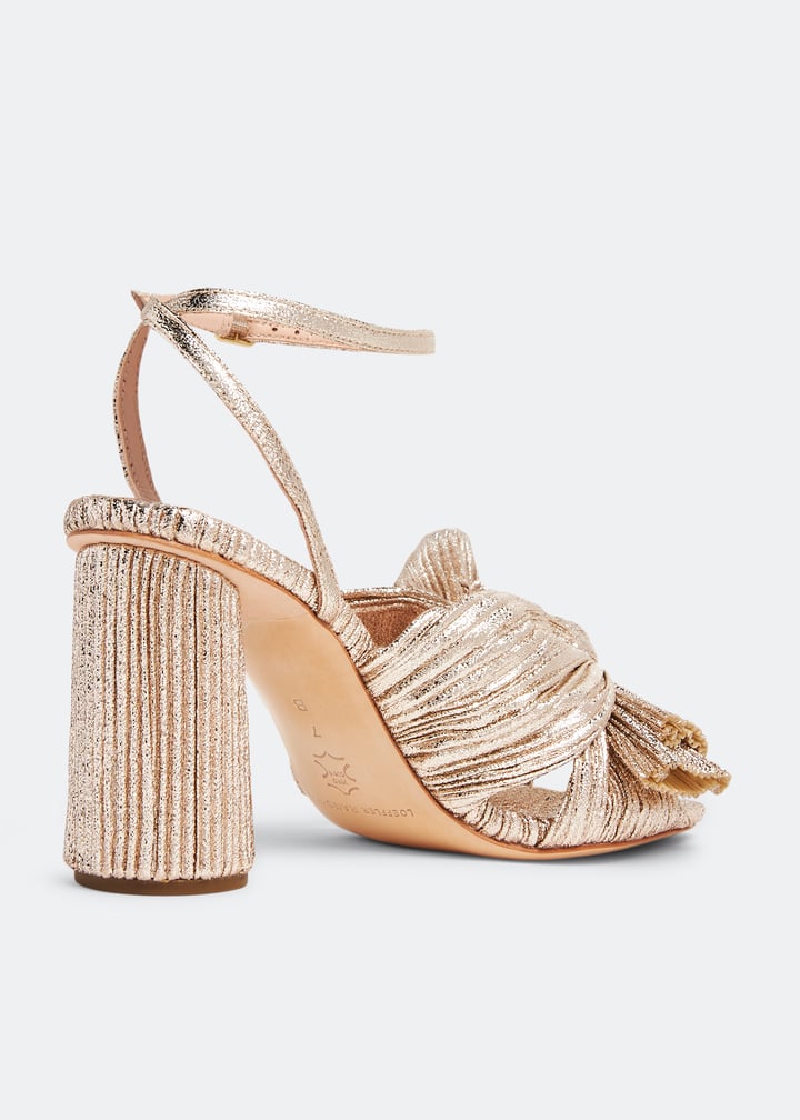 camellia-pla-champ_6.jpg?ts=20260402020540