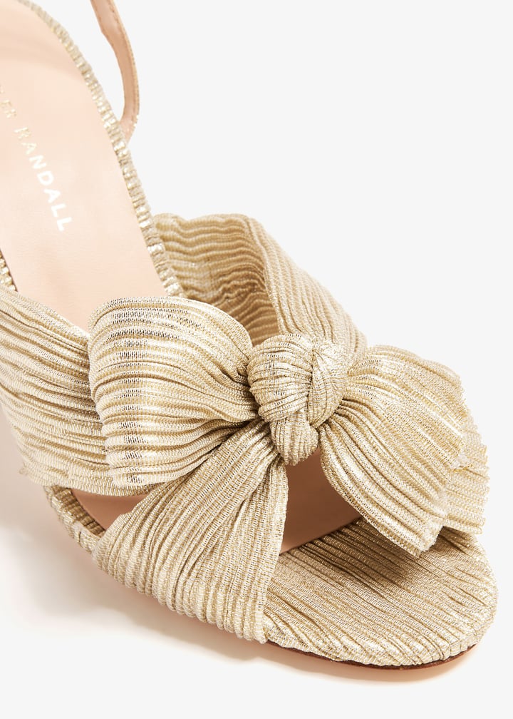 camellia-pla-pltnm_5.jpg?ts=20260403020543