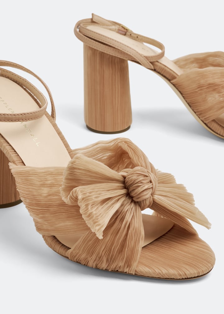 camellia-plfa-beaty_3.jpg?ts=20230310034534