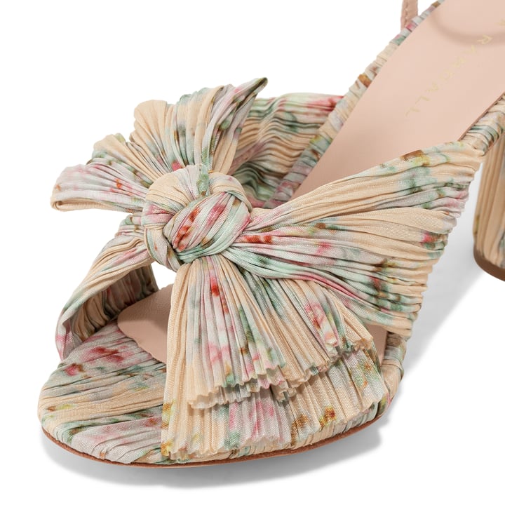 camellia-plfa-tanfl_3.jpg?ts=20220505183621