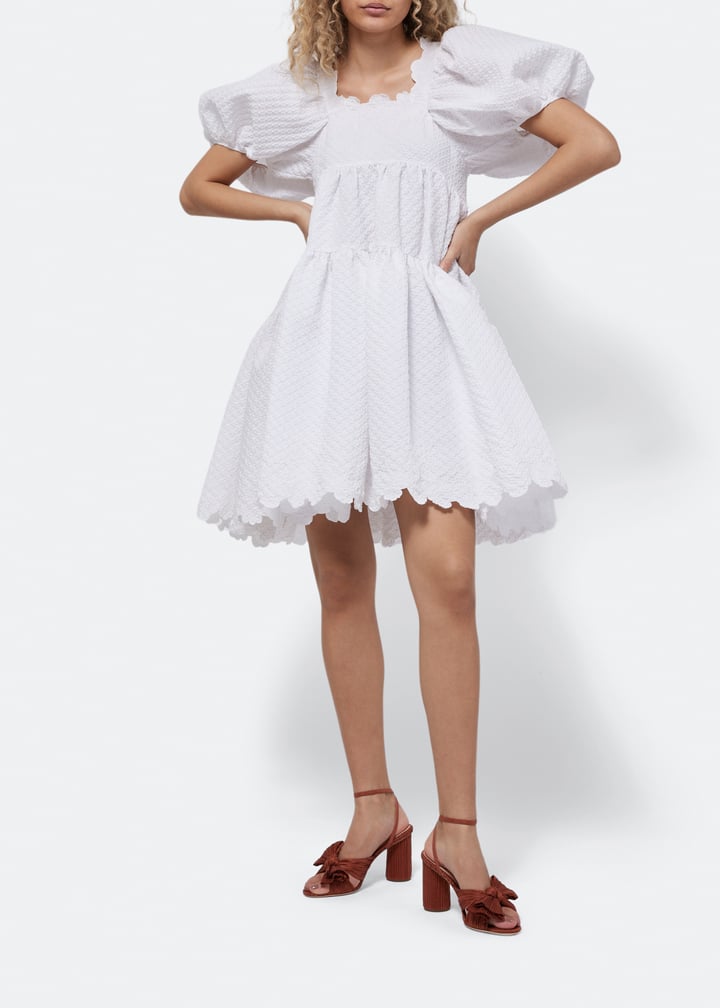 camellia-plfa-terra_2.jpg?ts=20230310034535