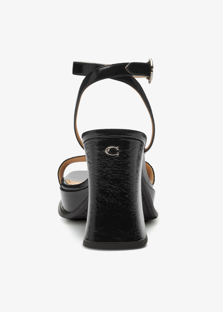 cch60-blk_6.jpg?ts=20250912041443