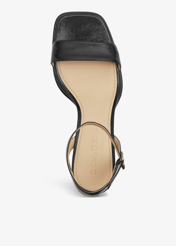 cch60-blk_7.jpg?ts=20250912041443