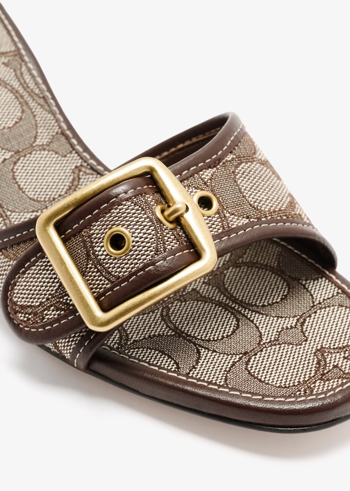 ccm10-s8w_5.jpg?ts=20250917124648