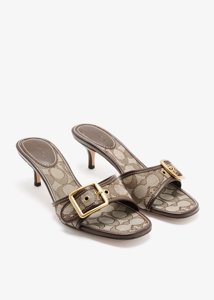 ccm10-s8w_7.jpg?ts=20250917124648