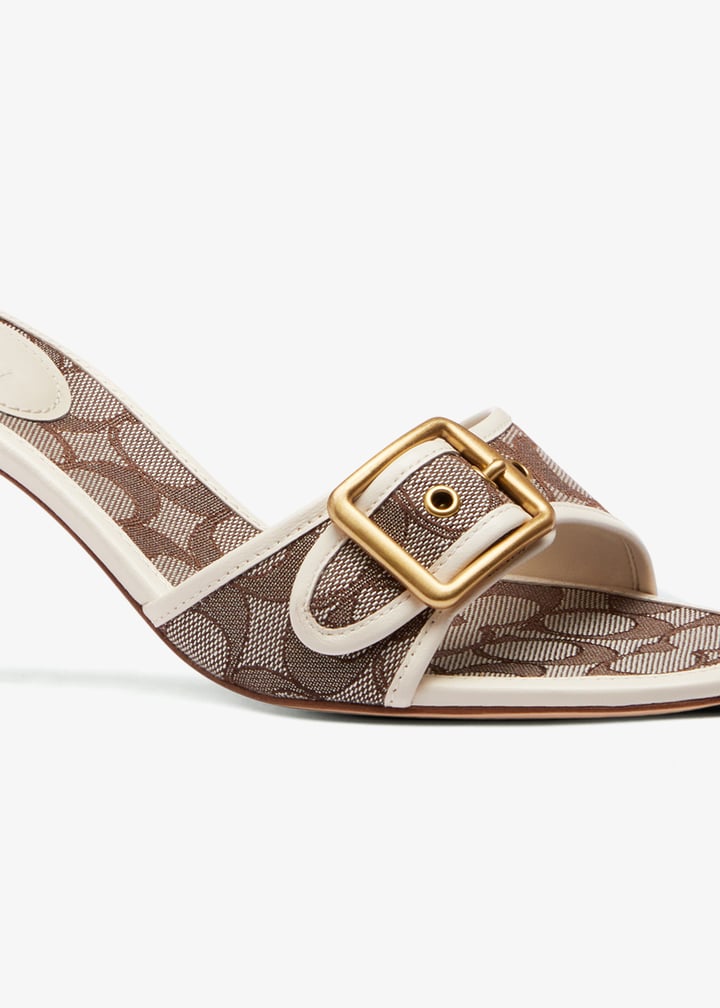 ccm10-yvw_5.jpg?ts=20260319034539