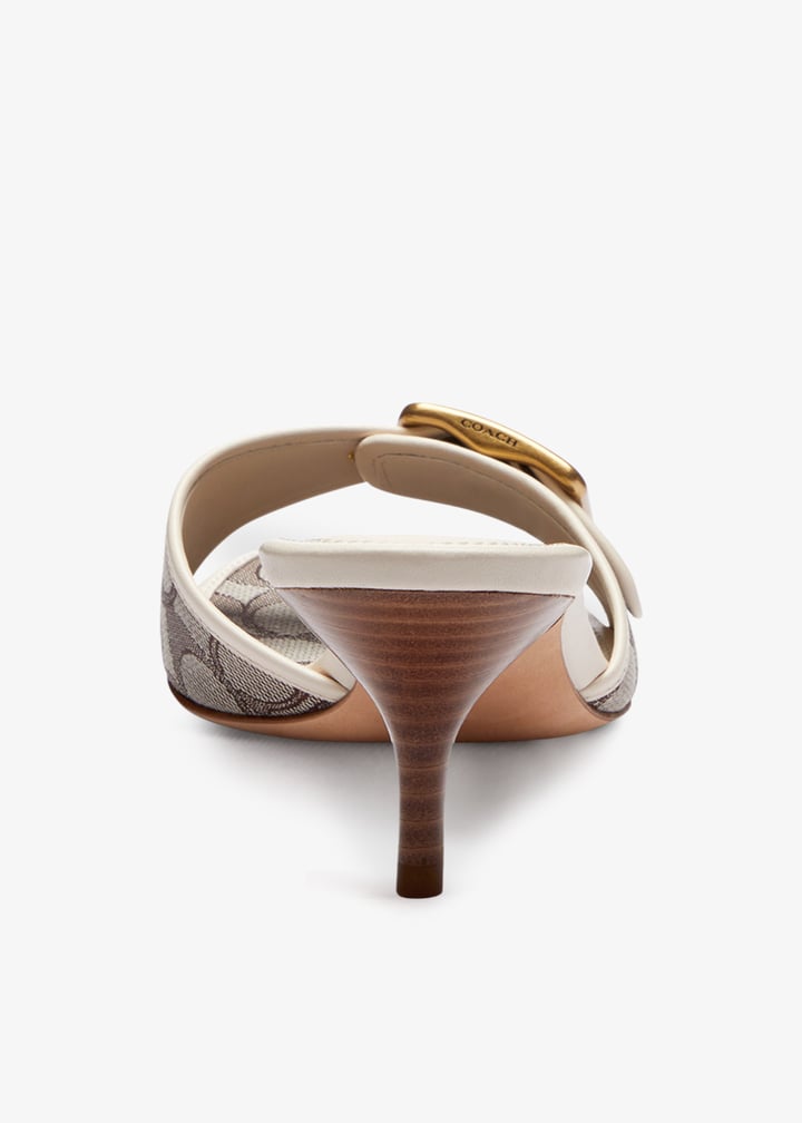 ccm10-yvw_6.jpg?ts=20260319034539