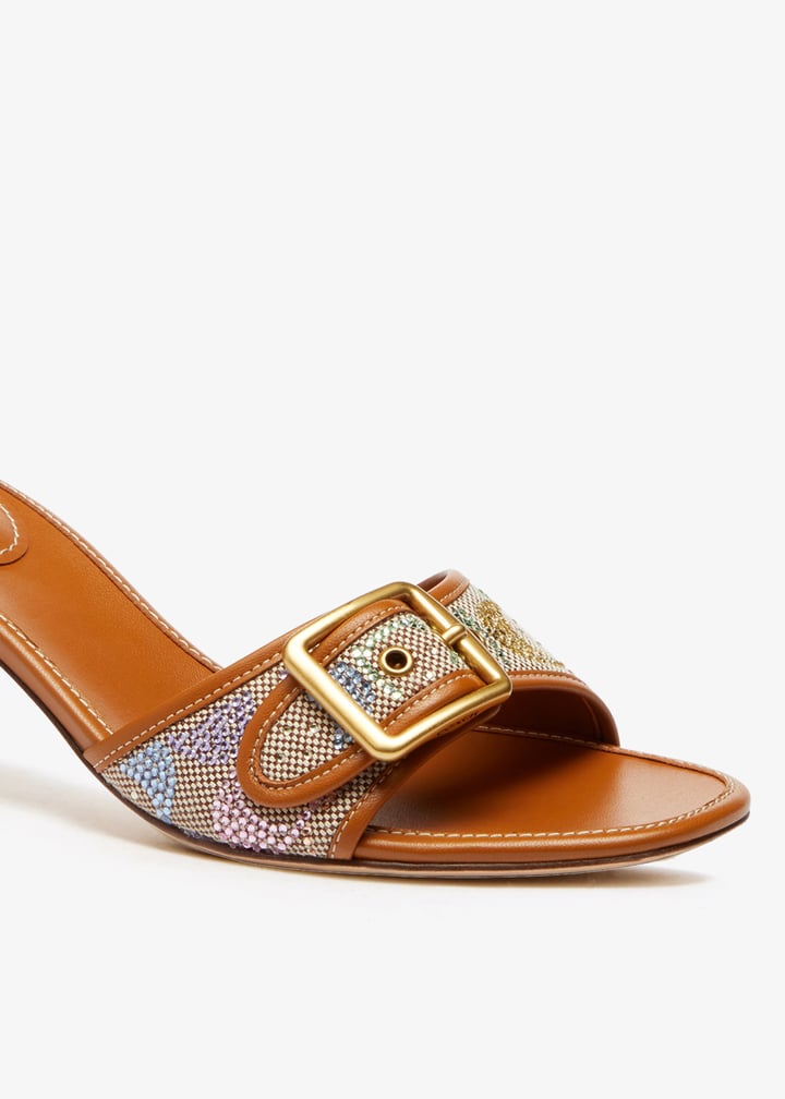 ccm11-v11_5.jpg?ts=20251204030624