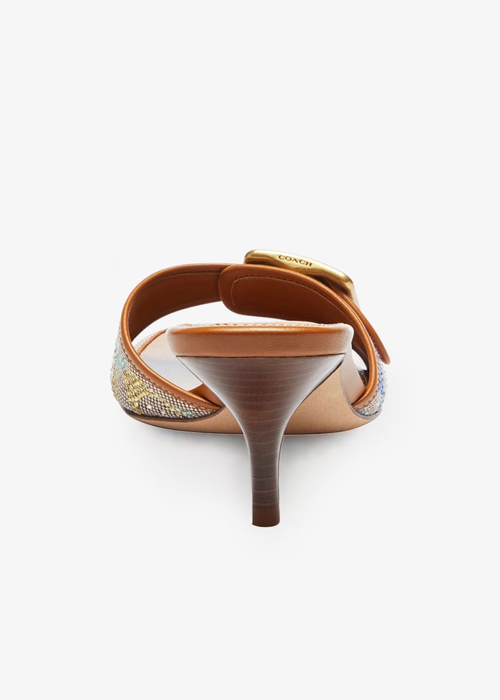 ccm11-v11_6.jpg?ts=20251204030624