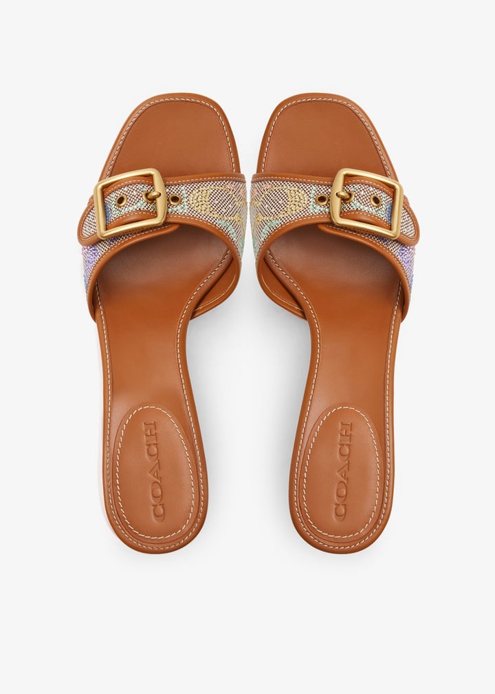 ccm11-v11_7.jpg?ts=20251204030625