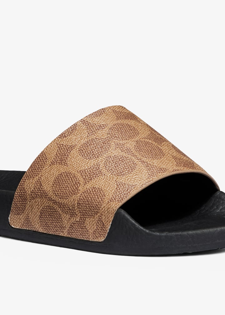 ccm21-tn2_5.jpg?ts=20260319034541