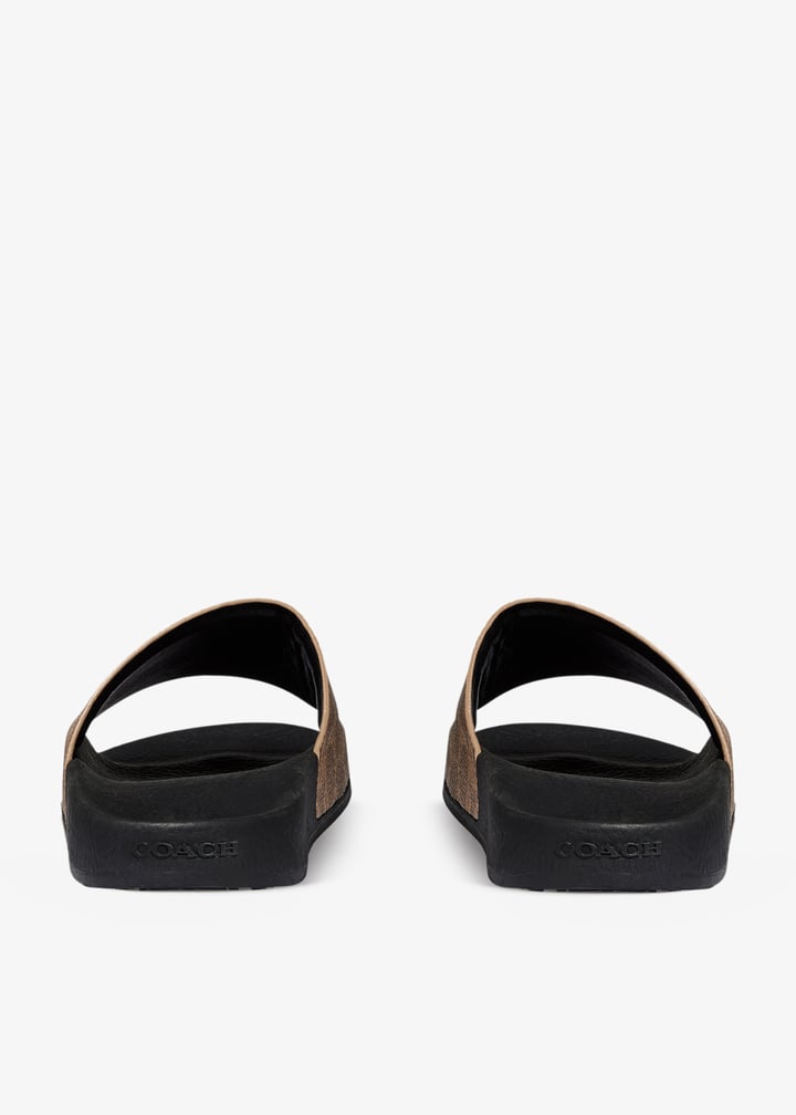 ccm21-tn2_6.jpg?ts=20260319034541