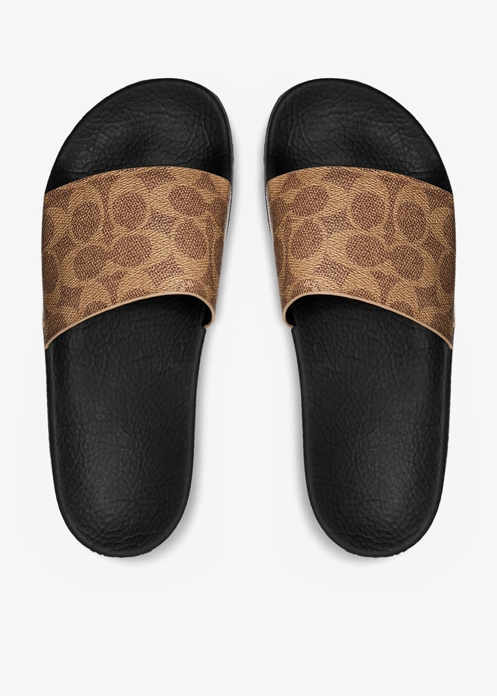 ccm21-tn2_7.jpg?ts=20260319034542