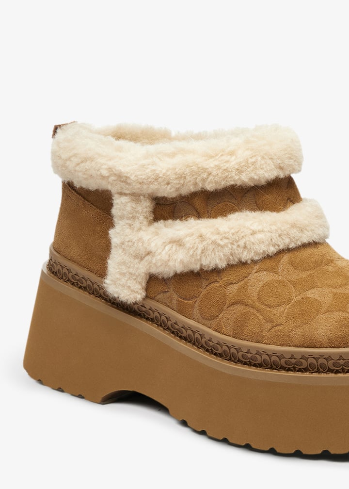 cco35-tob_5.jpg?ts=20250912041515