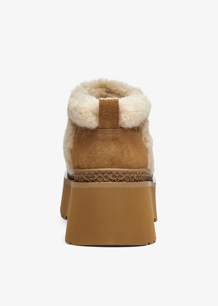 cco35-tob_6.jpg?ts=20250912041516