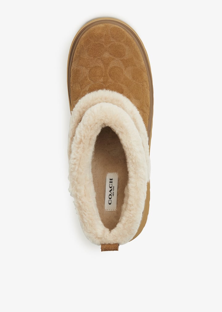 cco35-tob_7.jpg?ts=20250912041517