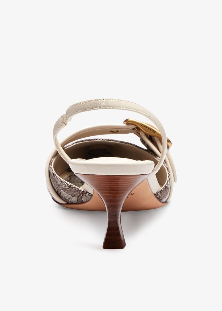 ccv93-yvw_6.jpg?ts=20260319034543