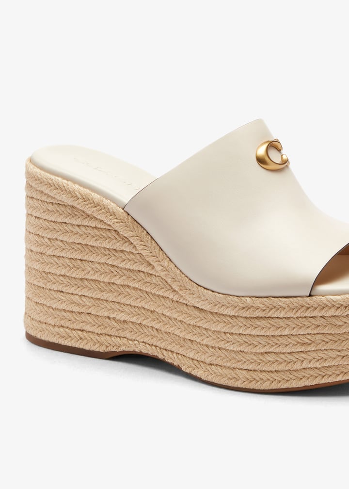 cdt26-chk_5.jpg?ts=20260319034549