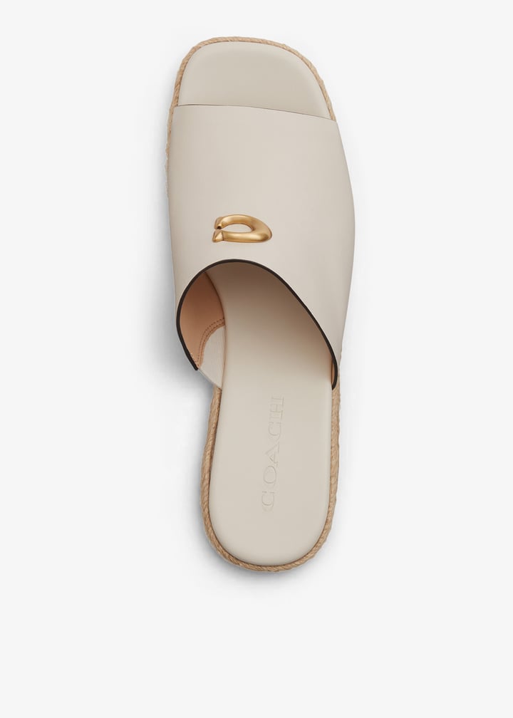 cdt26-chk_7.jpg?ts=20260319034550