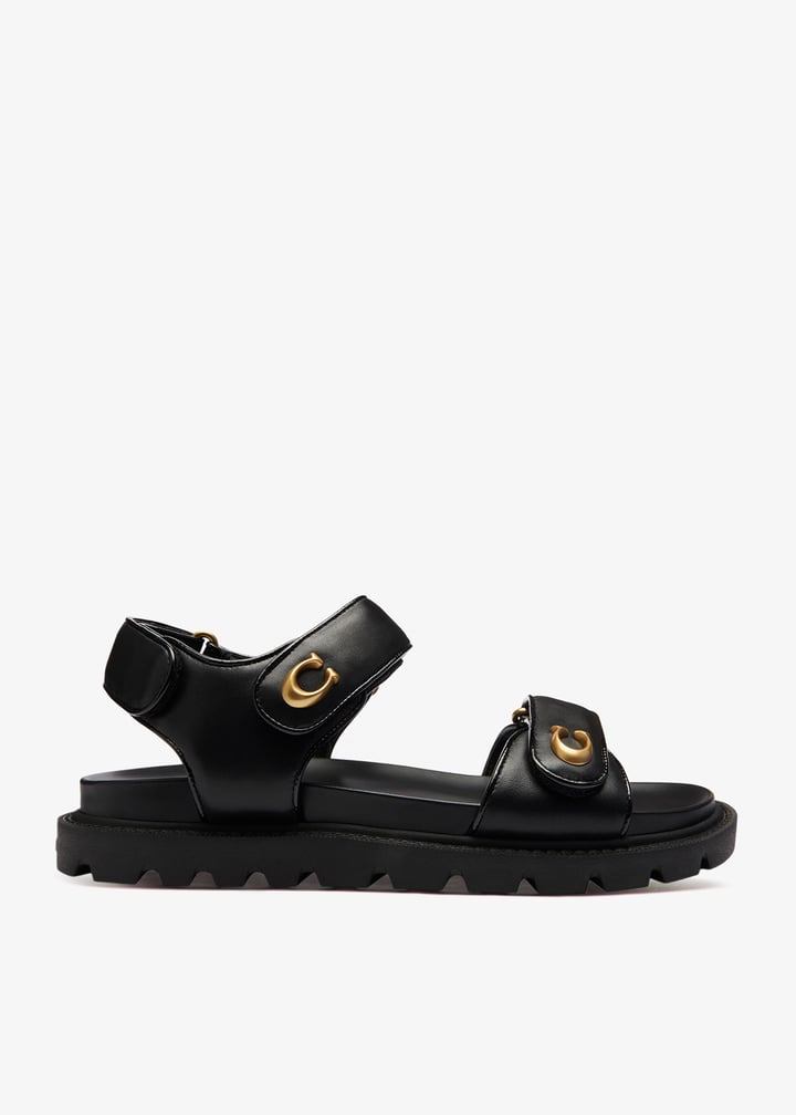 cef31-blk_1.jpg?ts=20260319034638