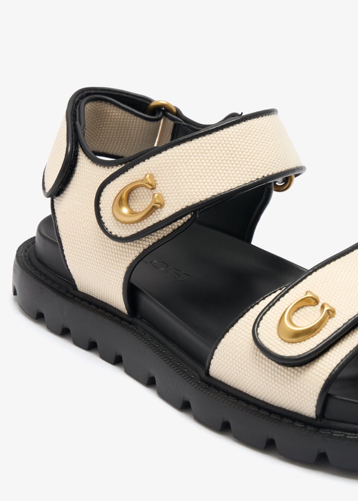 cef36-mqv_5.jpg?ts=20260411035638