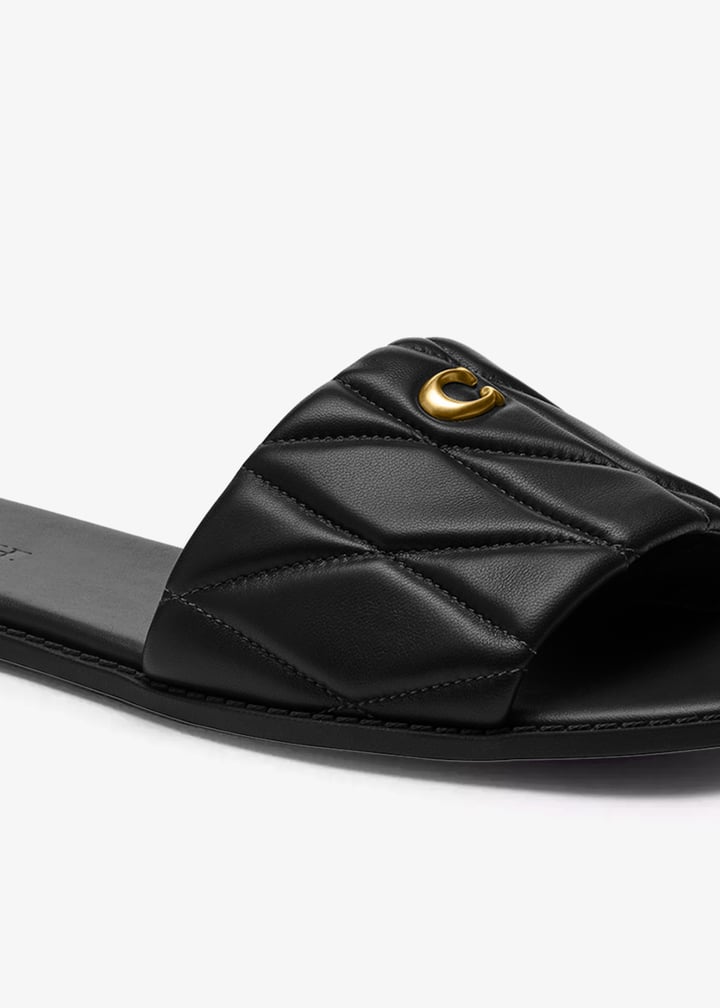 cef42-blk_5.jpg?ts=20260319034641