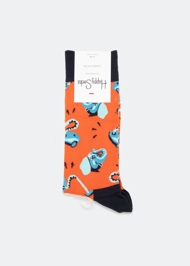 cel01-4300_1.jpg?ts=20220504182611